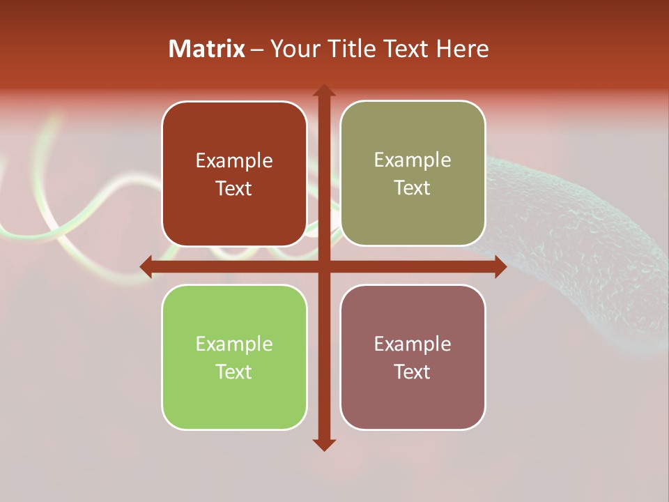 Gram Negative Helical Rod Shape PowerPoint Template