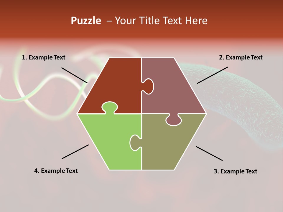 Gram Negative Helical Rod Shape PowerPoint Template