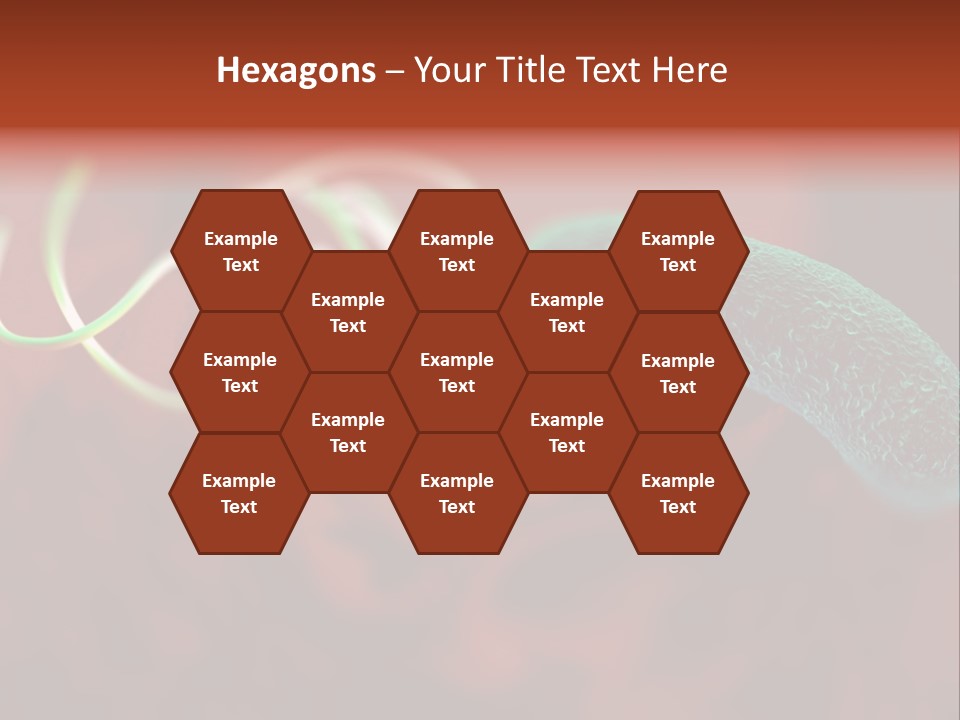 Gram Negative Helical Rod Shape PowerPoint Template