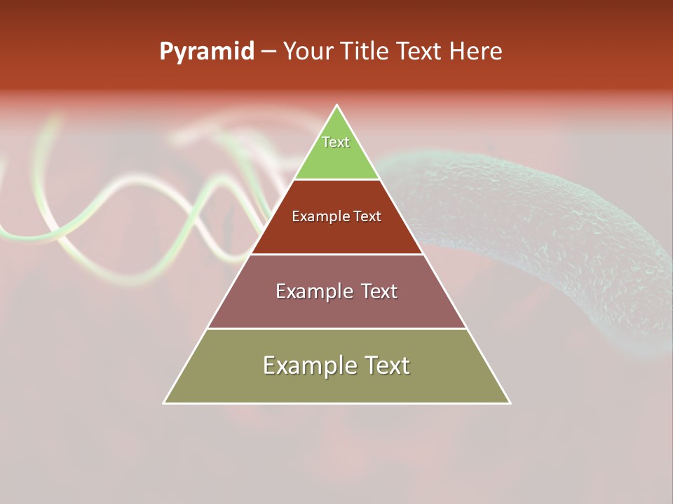 Gram Negative Helical Rod Shape PowerPoint Template