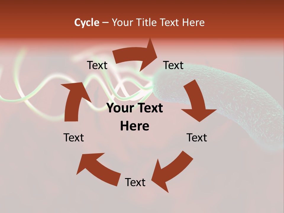 Gram Negative Helical Rod Shape PowerPoint Template