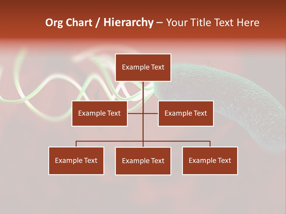 Gram Negative Helical Rod Shape PowerPoint Template