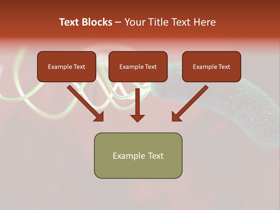 Gram Negative Helical Rod Shape PowerPoint Template