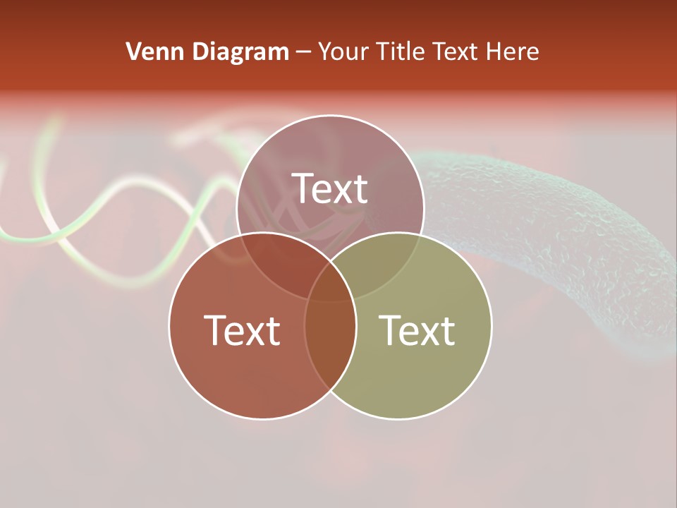 Gram Negative Helical Rod Shape PowerPoint Template