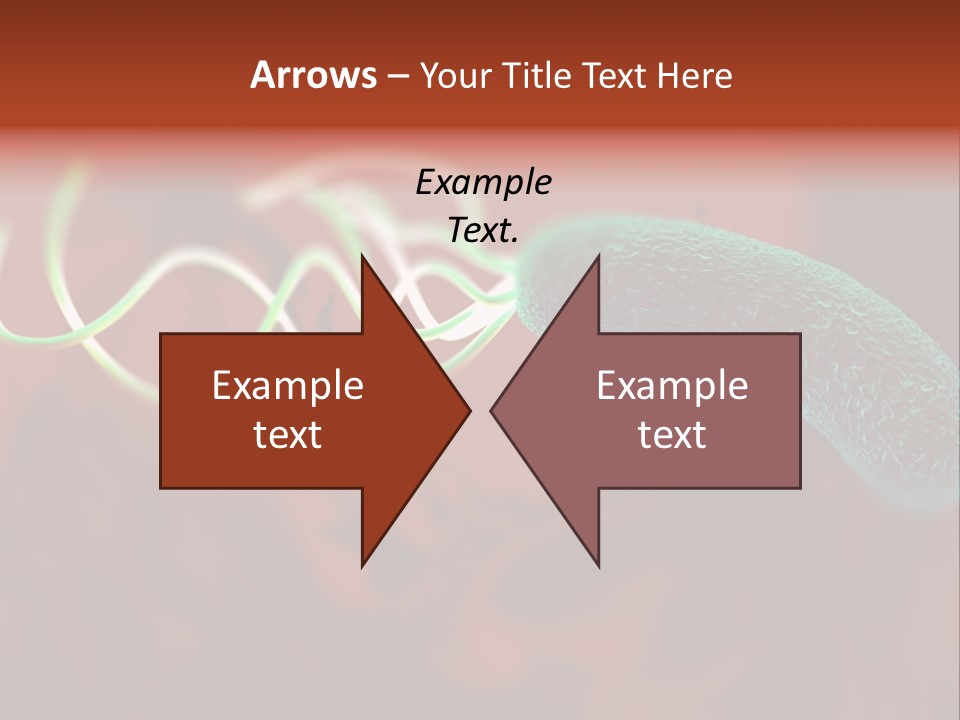 Gram Negative Helical Rod Shape PowerPoint Template
