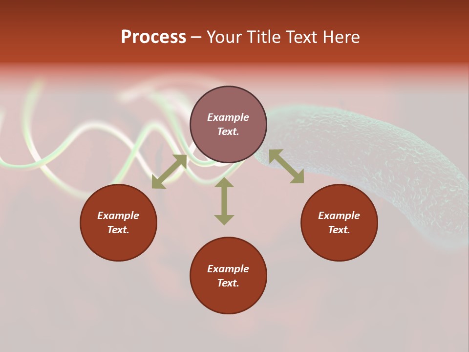 Gram Negative Helical Rod Shape PowerPoint Template