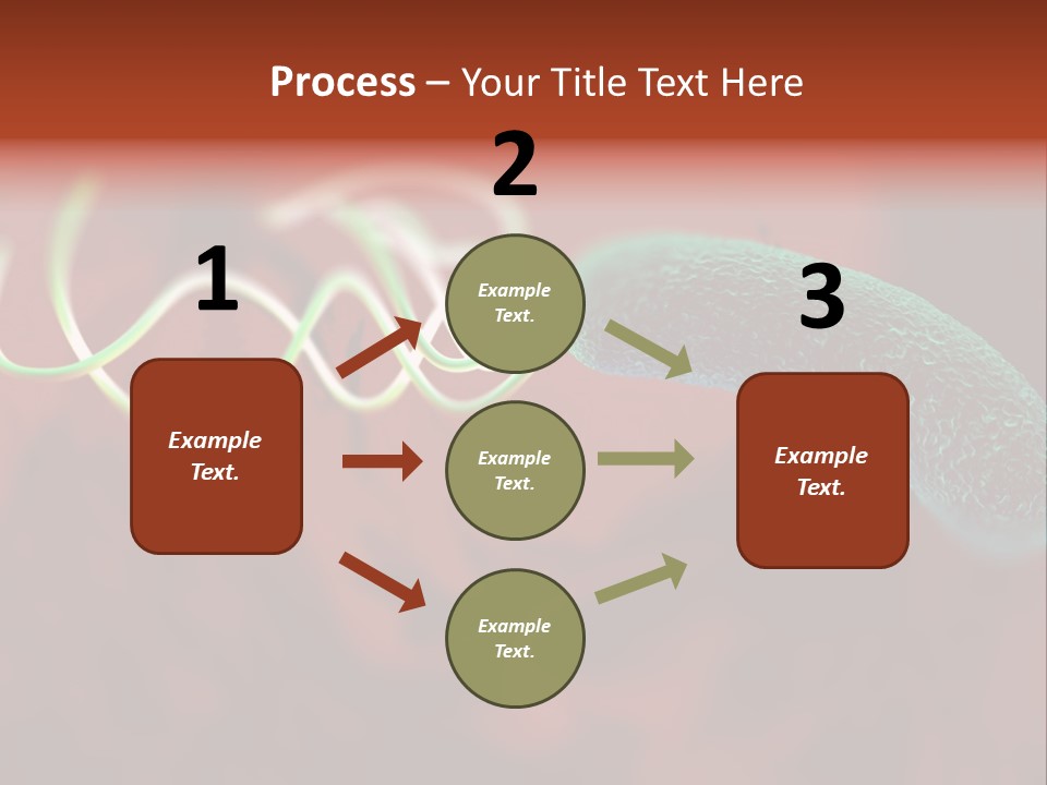 Gram Negative Helical Rod Shape PowerPoint Template