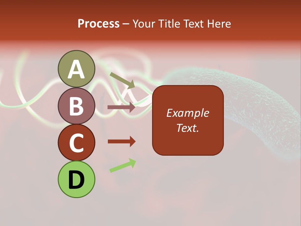 Gram Negative Helical Rod Shape PowerPoint Template