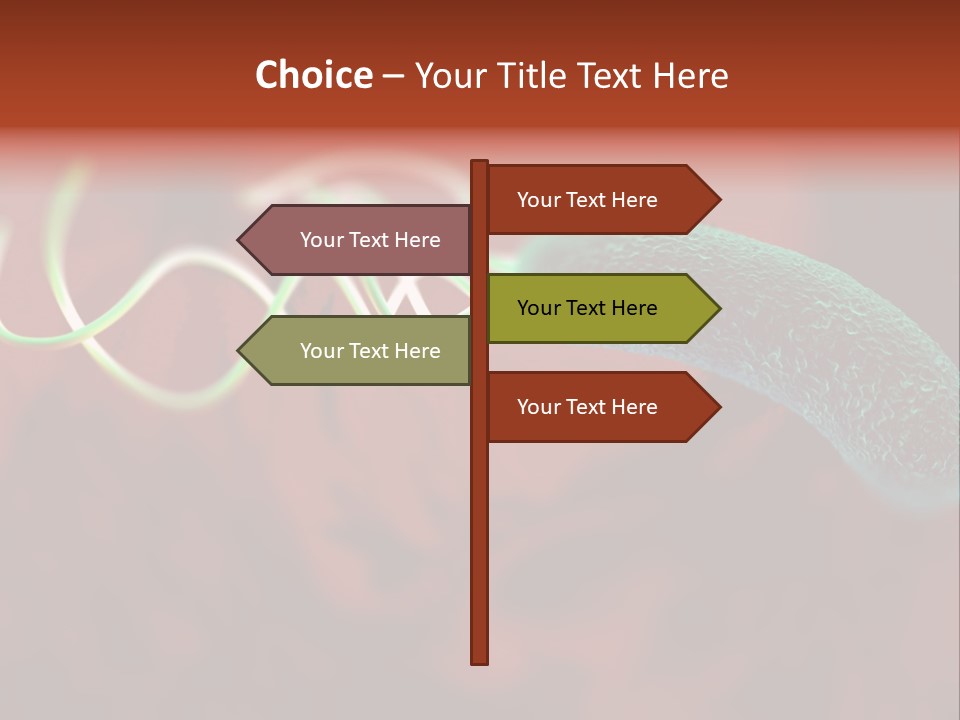 Gram Negative Helical Rod Shape PowerPoint Template
