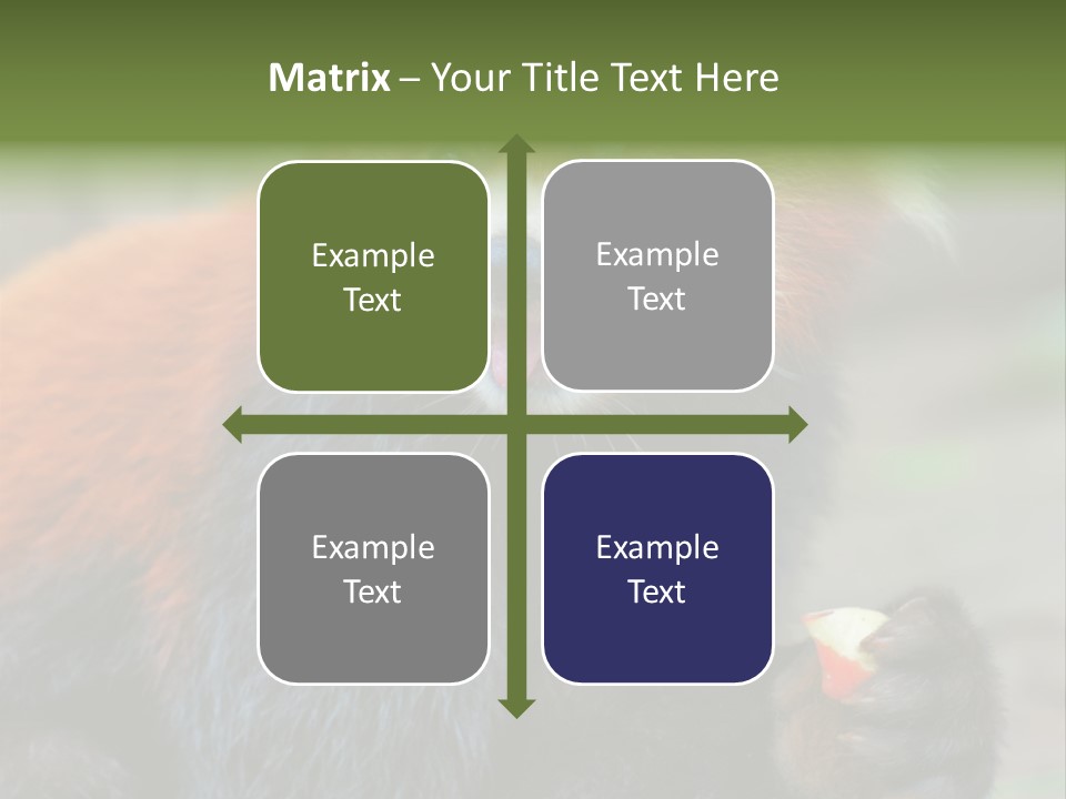 Vegetarian Zoo Natural PowerPoint Template