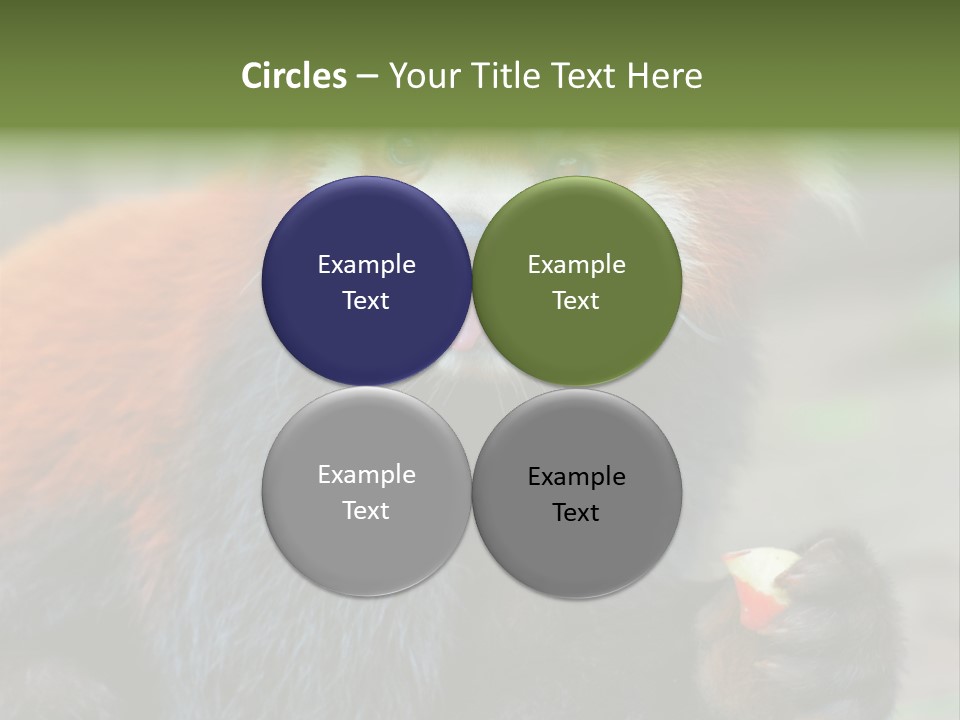 Vegetarian Zoo Natural PowerPoint Template