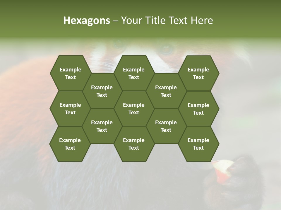 Vegetarian Zoo Natural PowerPoint Template