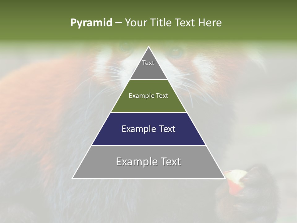 Vegetarian Zoo Natural PowerPoint Template