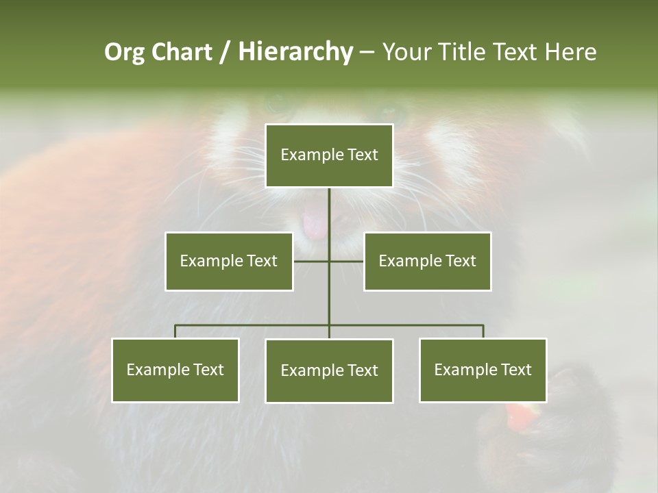 Vegetarian Zoo Natural PowerPoint Template