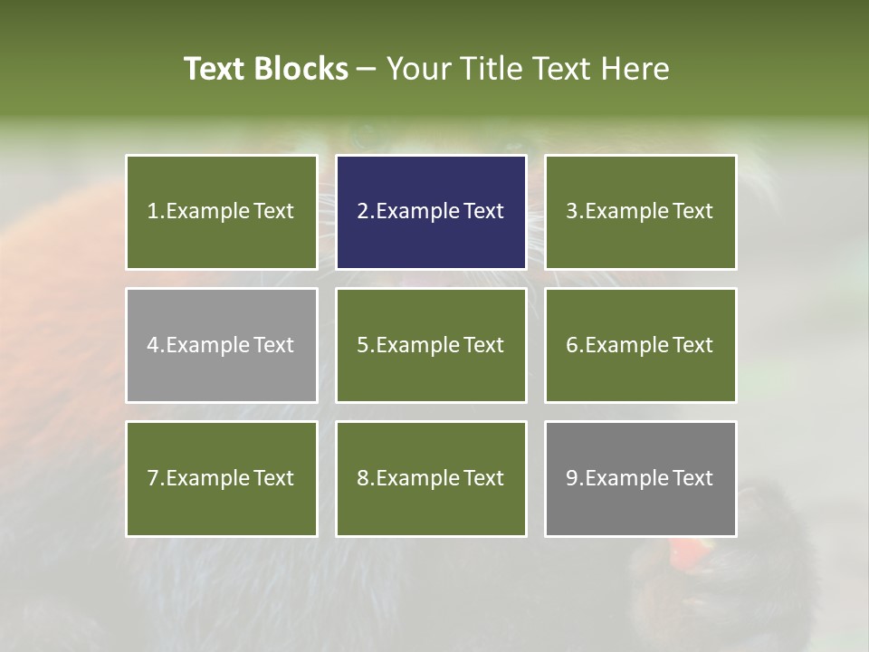 Vegetarian Zoo Natural PowerPoint Template