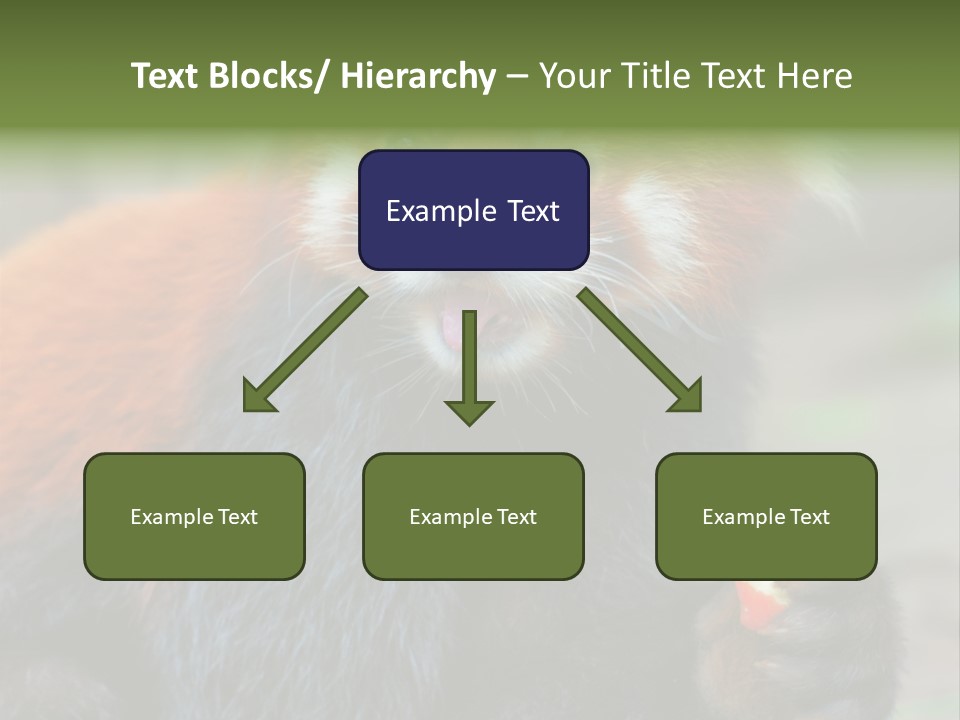 Vegetarian Zoo Natural PowerPoint Template