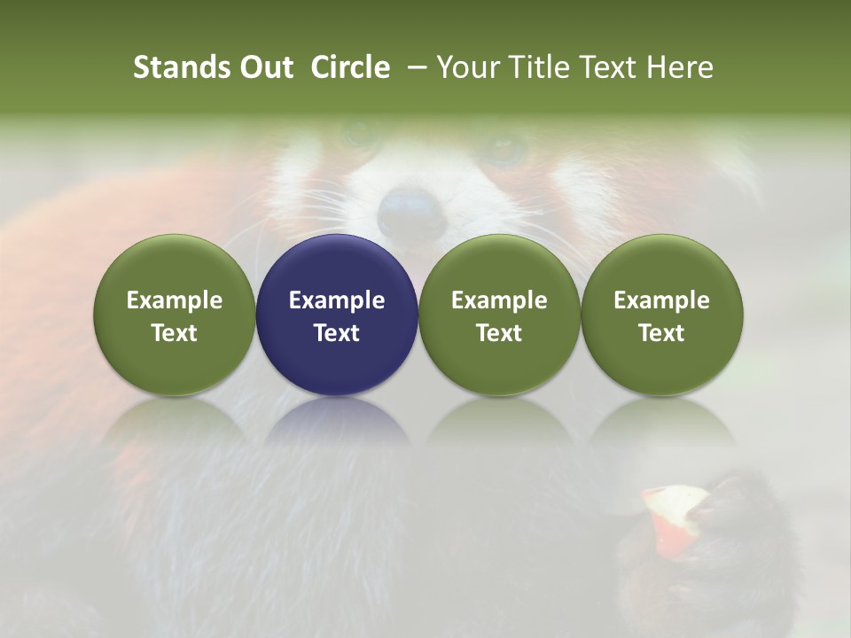 Vegetarian Zoo Natural PowerPoint Template