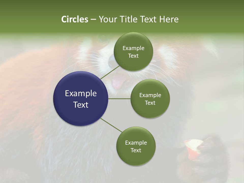 Vegetarian Zoo Natural PowerPoint Template