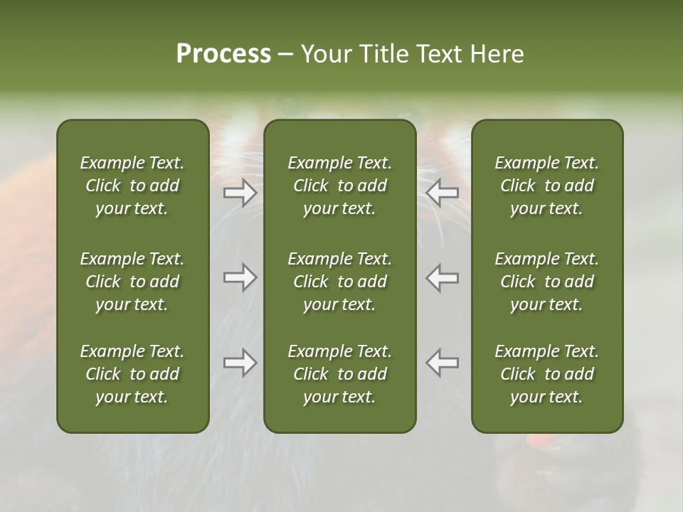 Vegetarian Zoo Natural PowerPoint Template