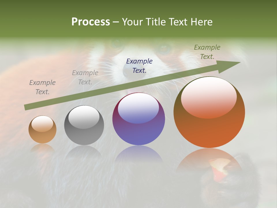 Vegetarian Zoo Natural PowerPoint Template