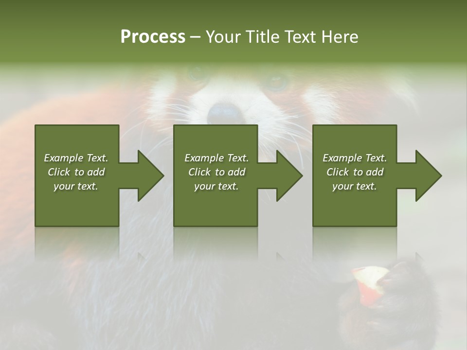 Vegetarian Zoo Natural PowerPoint Template