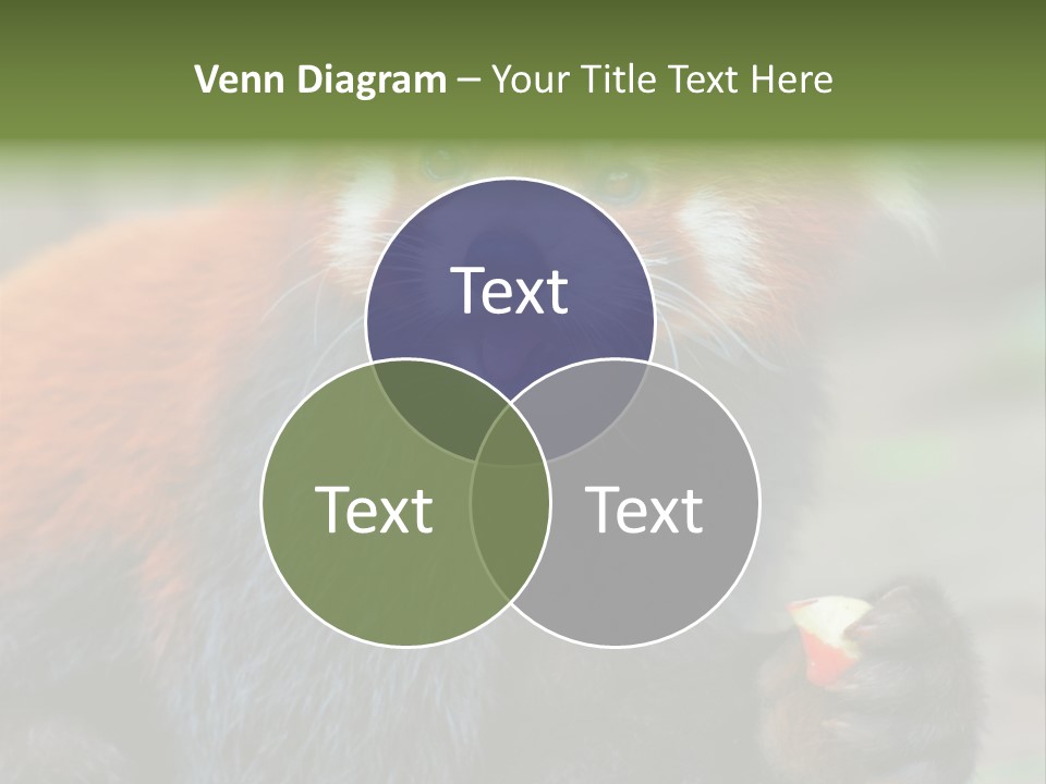 Vegetarian Zoo Natural PowerPoint Template