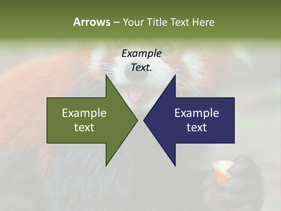 Vegetarian Zoo Natural PowerPoint Template