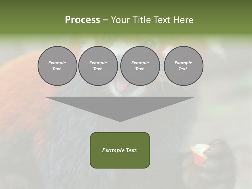 Vegetarian Zoo Natural PowerPoint Template