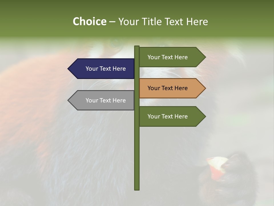 Vegetarian Zoo Natural PowerPoint Template