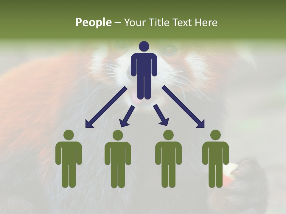 Vegetarian Zoo Natural PowerPoint Template