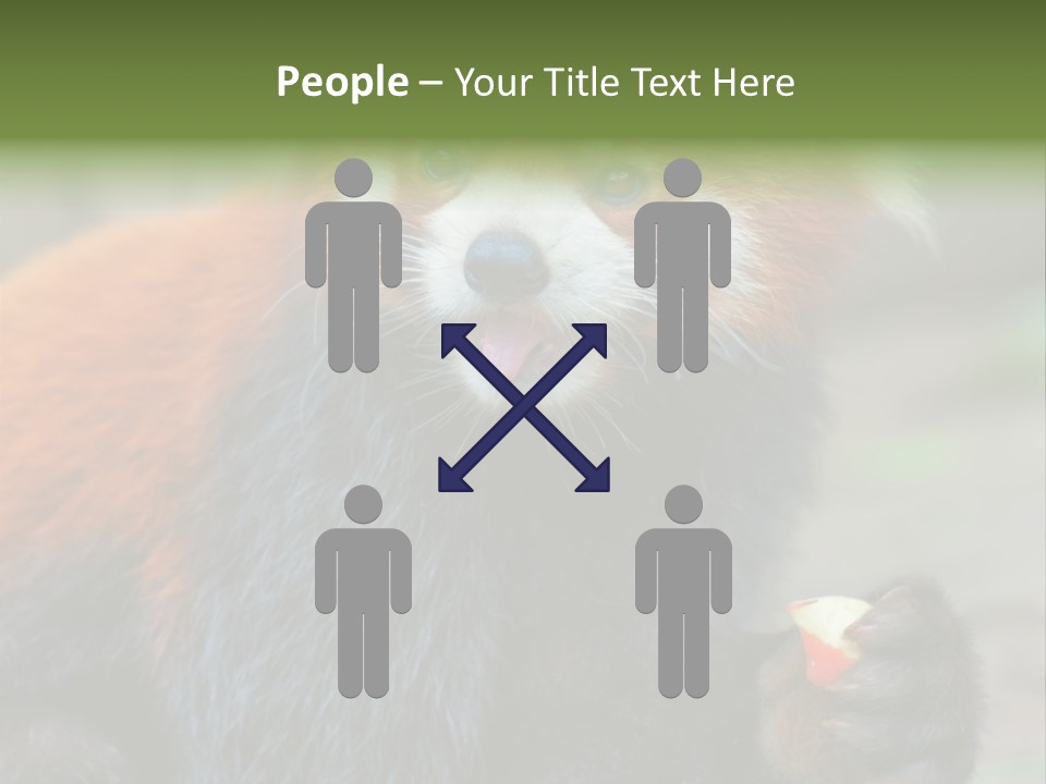 Vegetarian Zoo Natural PowerPoint Template