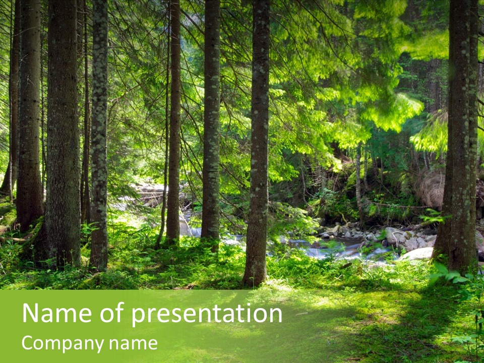 Green Uplifting Nature PowerPoint Template