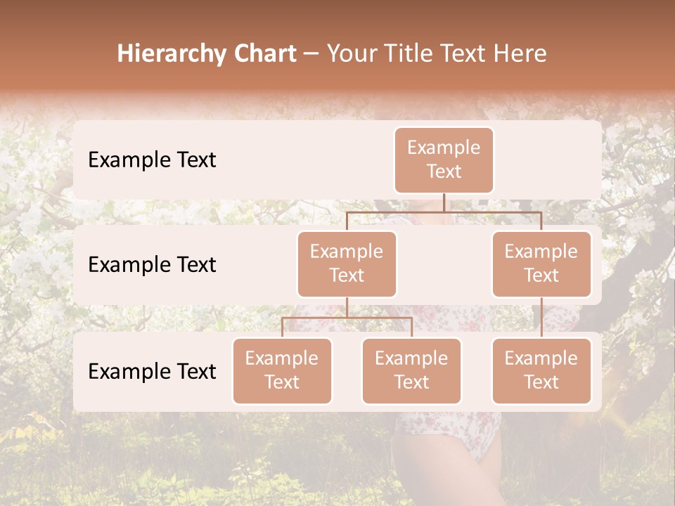 Park Fresh Colorful PowerPoint Template