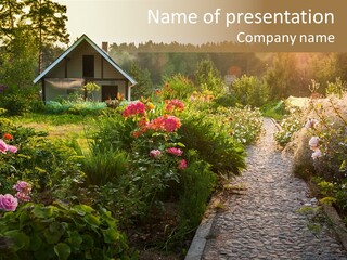 Path Paved Nature PowerPoint Template