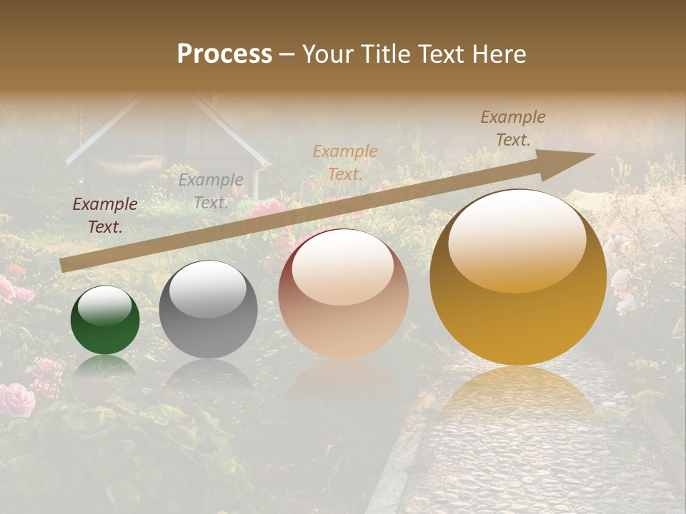 Path Paved Nature PowerPoint Template