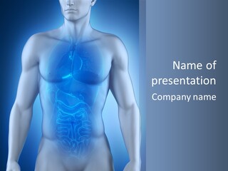 Isolated Pain Organ PowerPoint Template