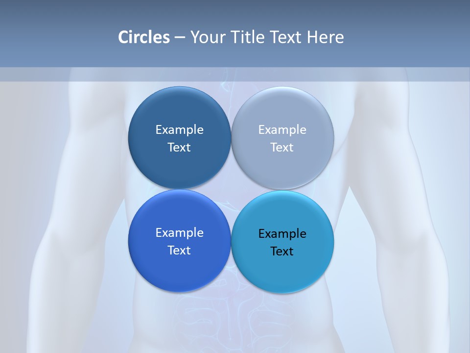 Isolated Pain Organ PowerPoint Template