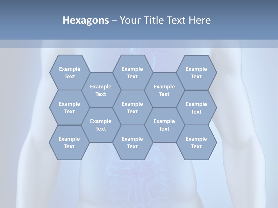 Isolated Pain Organ PowerPoint Template