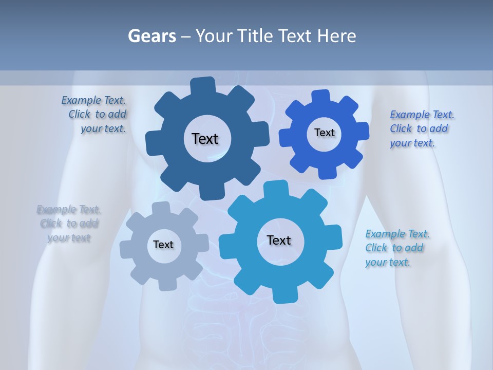 Isolated Pain Organ PowerPoint Template