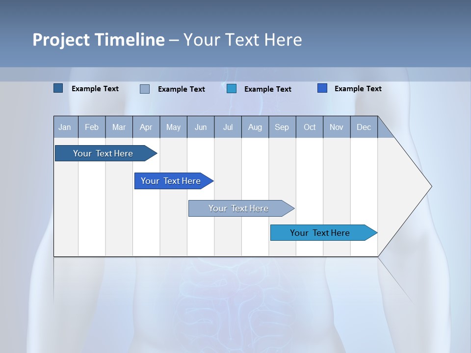 Isolated Pain Organ PowerPoint Template