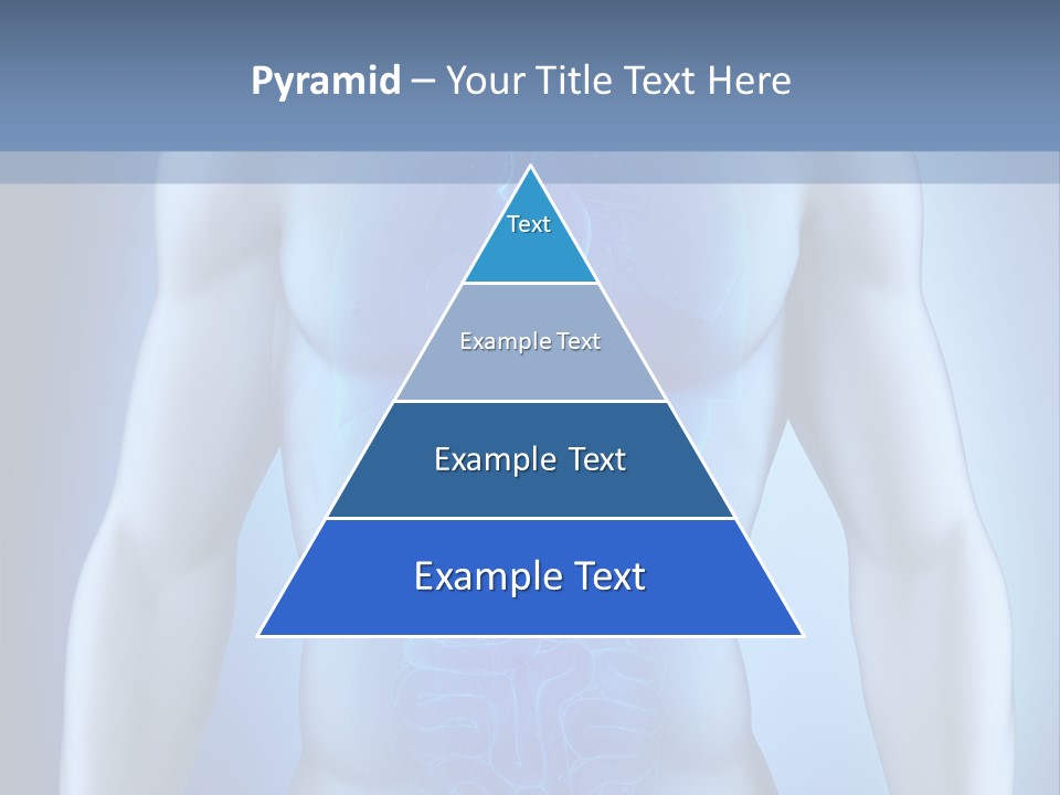 Isolated Pain Organ PowerPoint Template