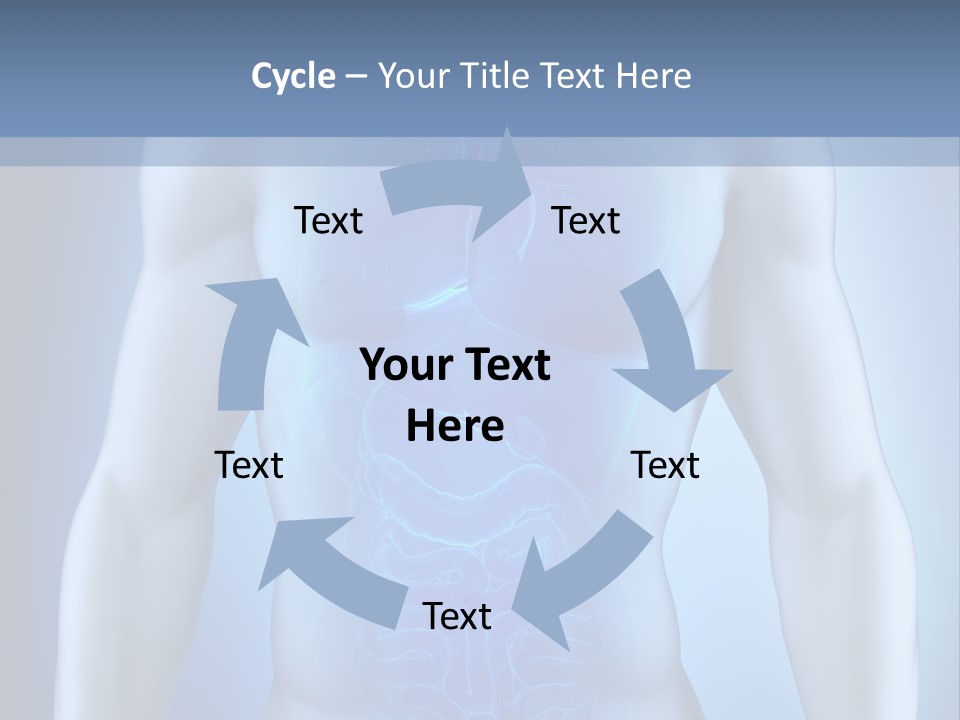 Isolated Pain Organ PowerPoint Template