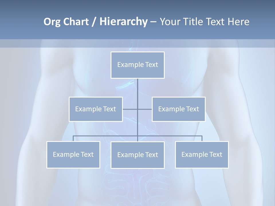 Isolated Pain Organ PowerPoint Template