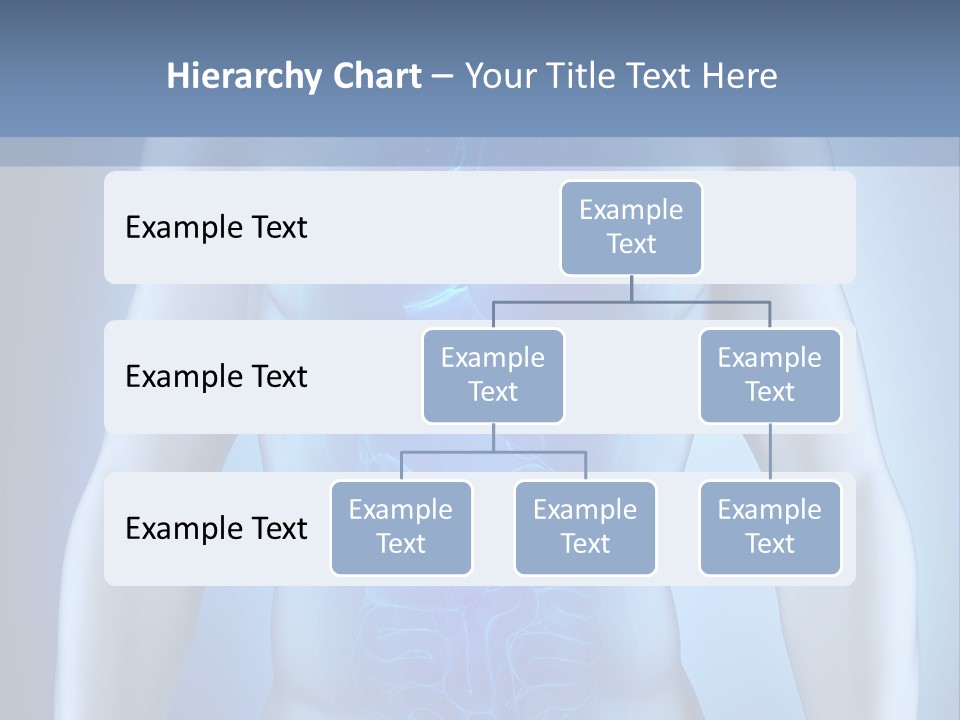 Isolated Pain Organ PowerPoint Template