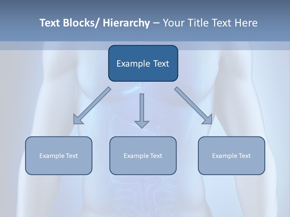 Isolated Pain Organ PowerPoint Template