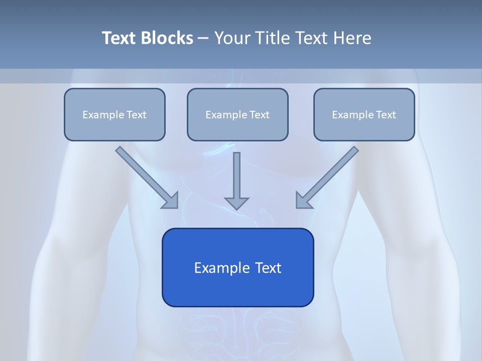 Isolated Pain Organ PowerPoint Template