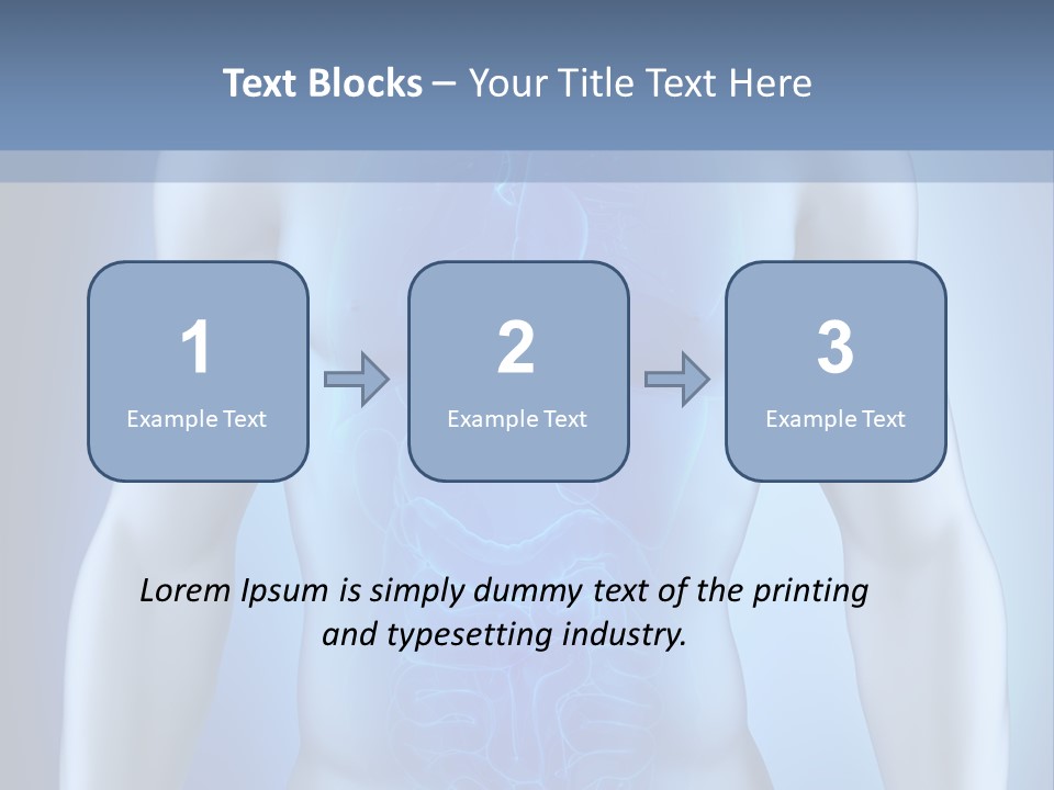 Isolated Pain Organ PowerPoint Template