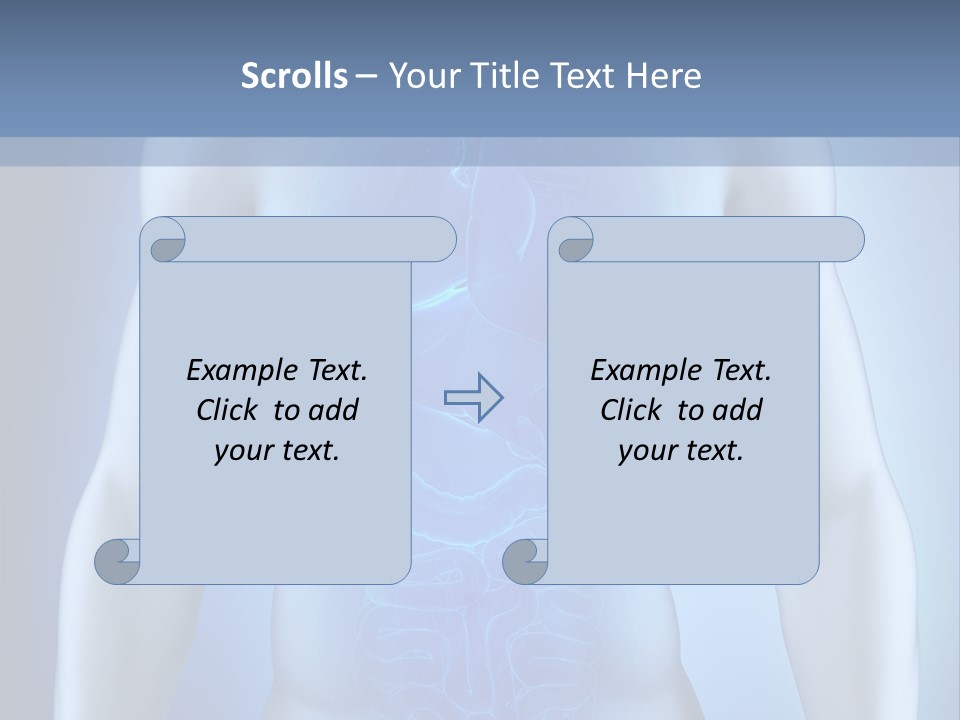 Isolated Pain Organ PowerPoint Template