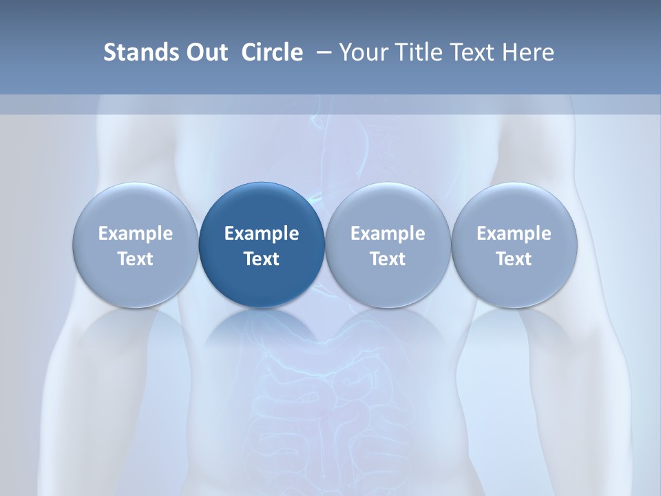 Isolated Pain Organ PowerPoint Template