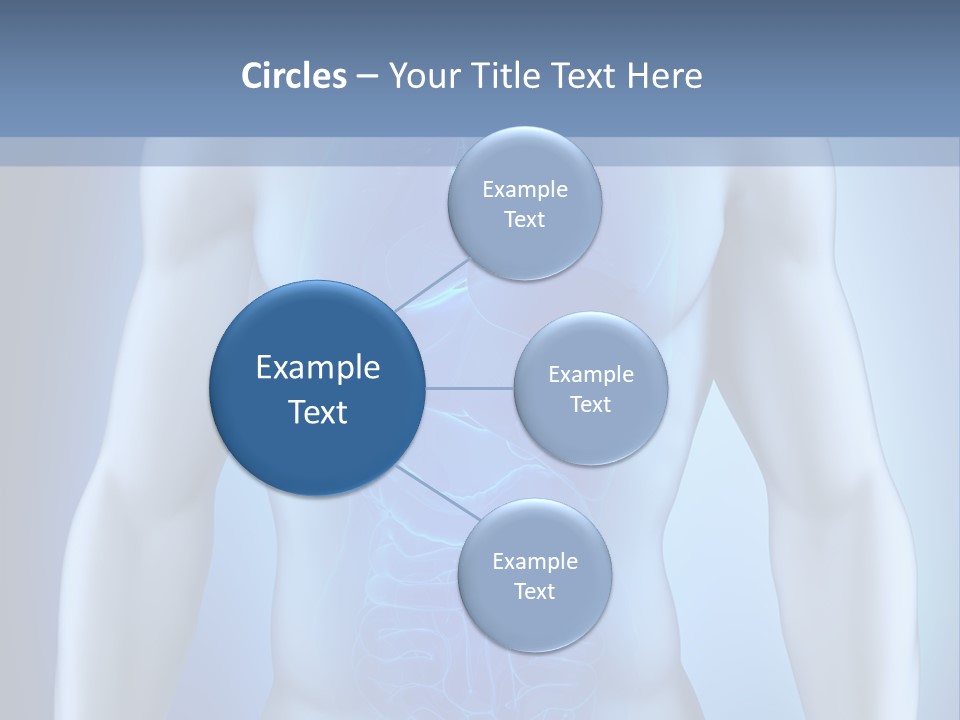 Isolated Pain Organ PowerPoint Template